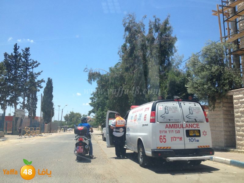 fight 2 famlilesi (5).JPG